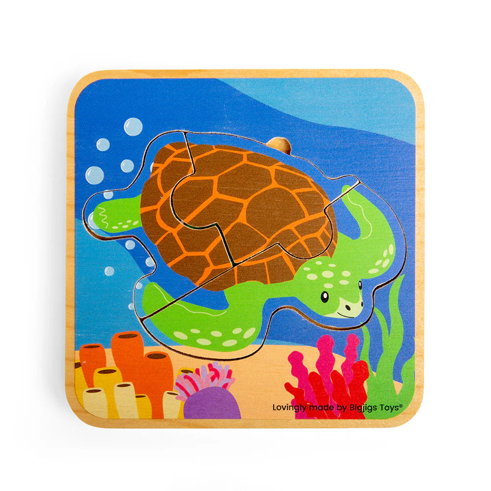 Lifecycle Layer Puzzle -  Sea Turtle